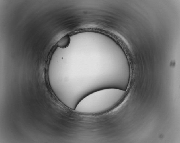 X0000102820921200808181021