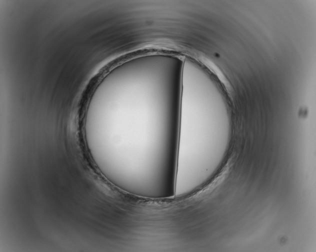 X0000102820923200808181021