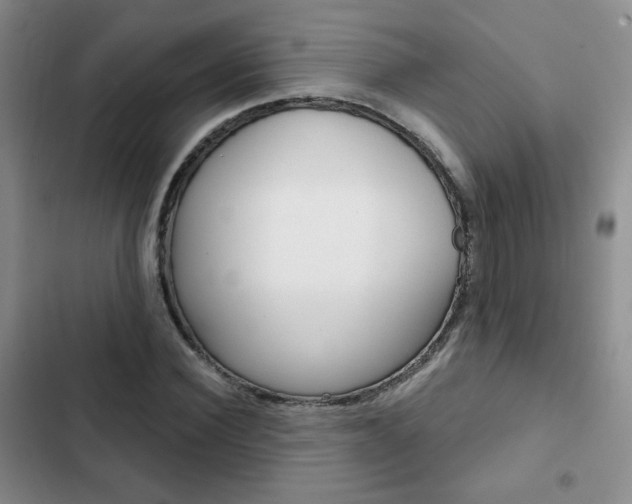 X0000102820924200808181021
