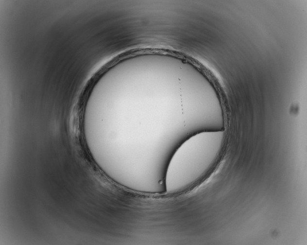 X0000102820925200808181021