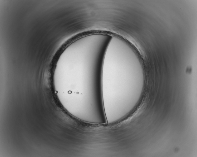 X0000102820926200808181021