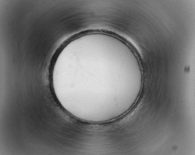 X0000102820927200808181021