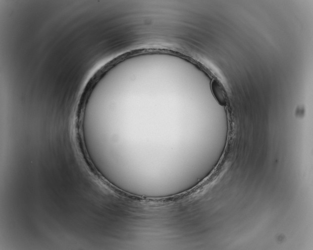 X0000102820928200808181021