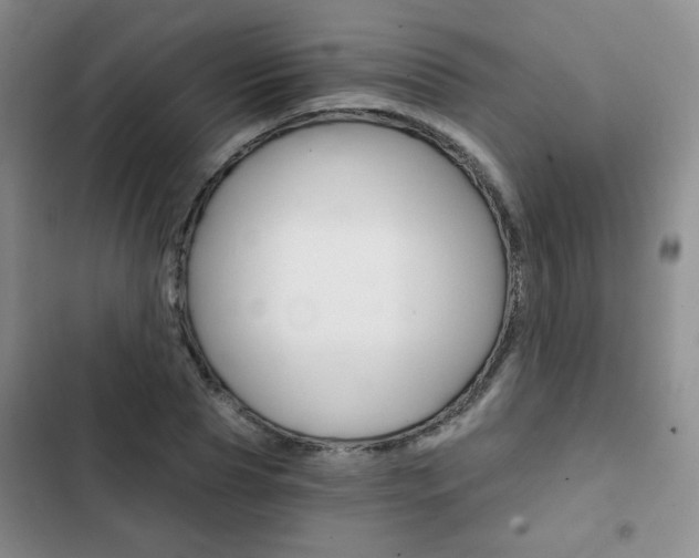 X0000102820929200808181021