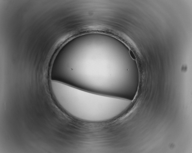 X0000102820930200808181021