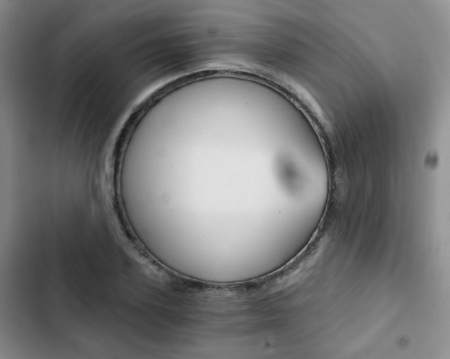 X0000102820931200808181021