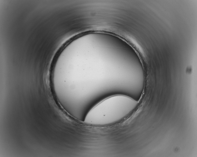 X0000102820932200808181021