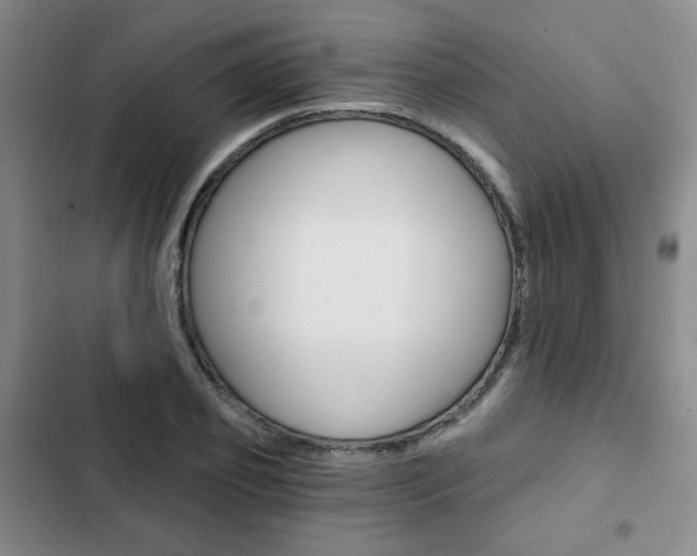 X0000102820933200808181021