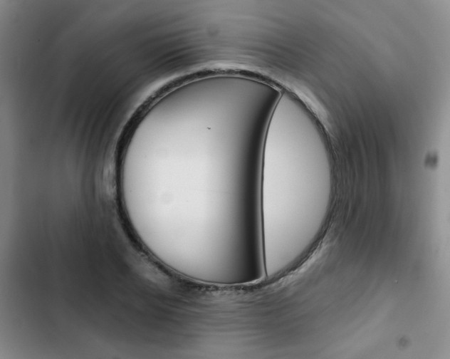 X0000102820934200808181021