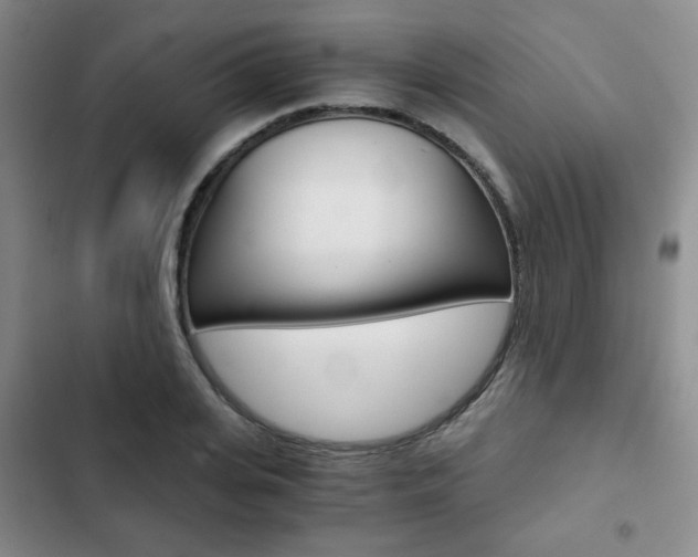 X0000102820935200808181021