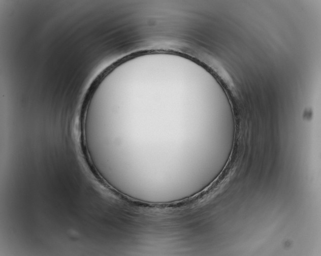 X0000102820936200808181021