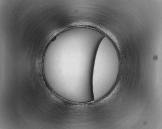 X0000102820937200808181021