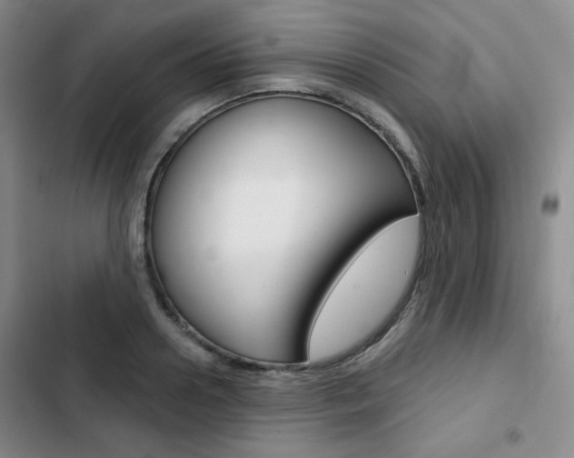 X0000102820938200808181021