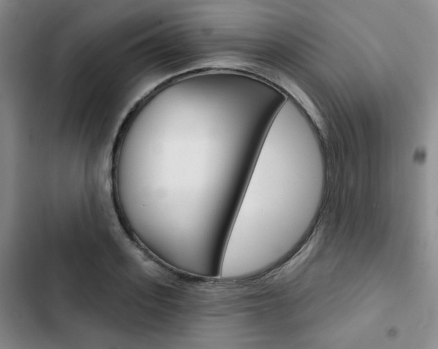 X0000102820939200808181021