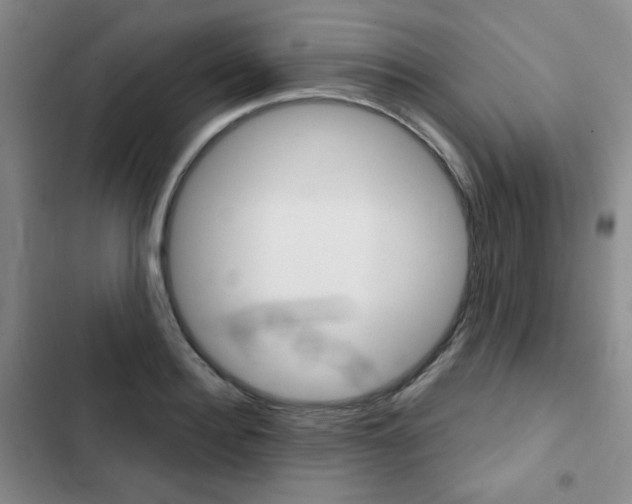 X0000102820940200808181021