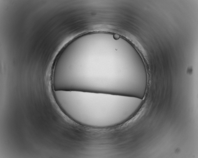 X0000102820941200808181021