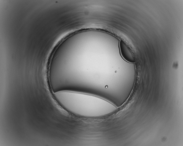 X0000102820942200808181021