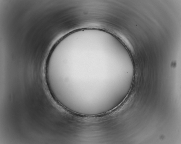 X0000102820944200808181021