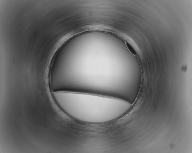 X0000102820946200808181021