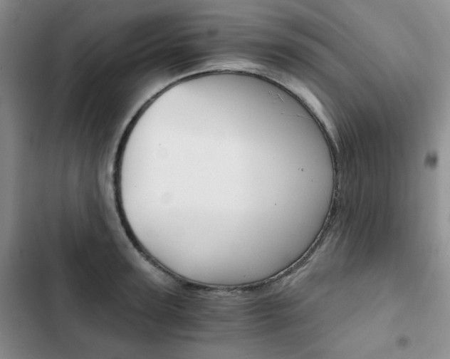 X0000102820947200808181021