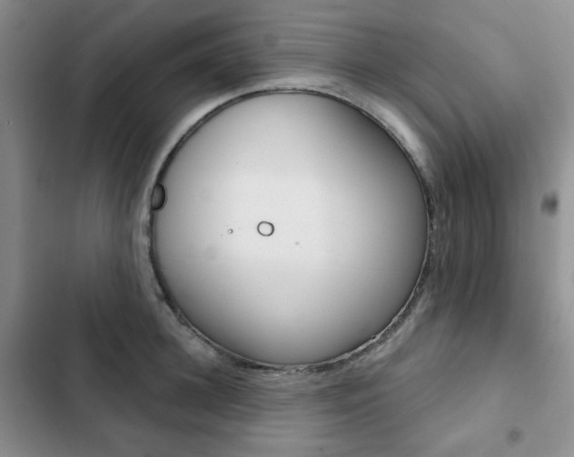 X0000102820948200808181021