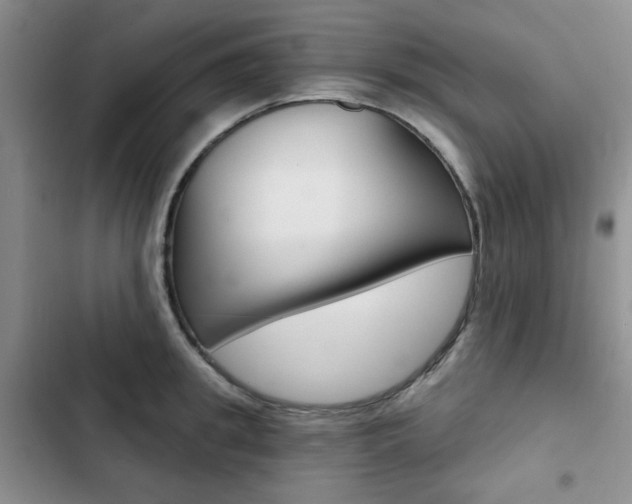 X0000102820949200808181021