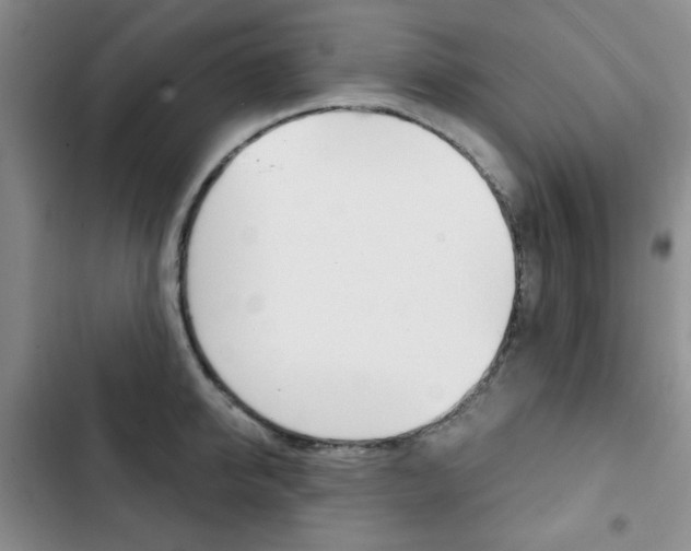 X0000102820950200808181021