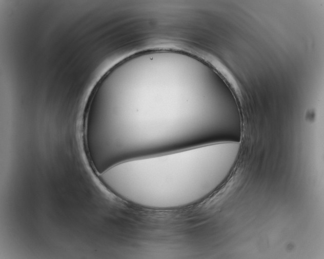 X0000102820951200808181021