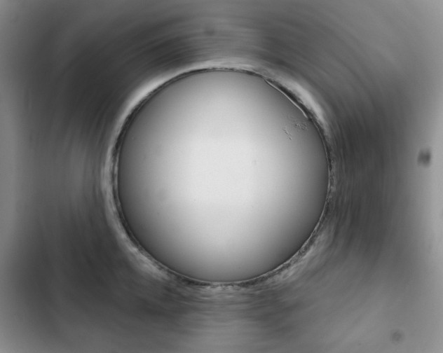 X0000102820952200808181021