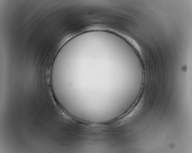 X0000102820953200808181021
