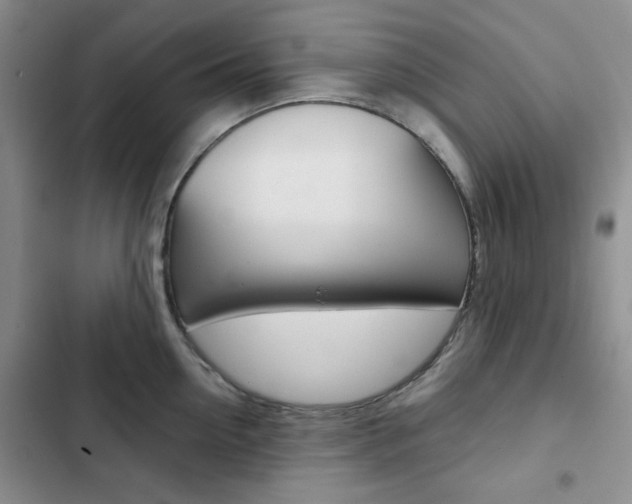 X0000102820954200808181021