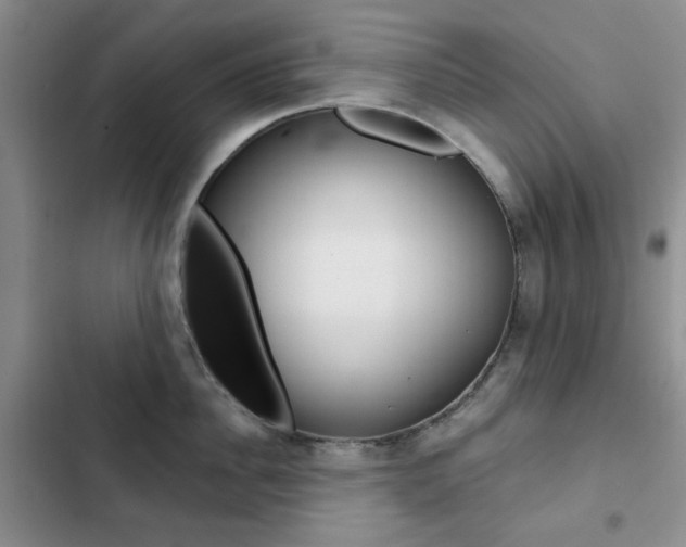X0000102820956200808181021
