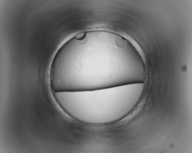 X0000102820957200808181021