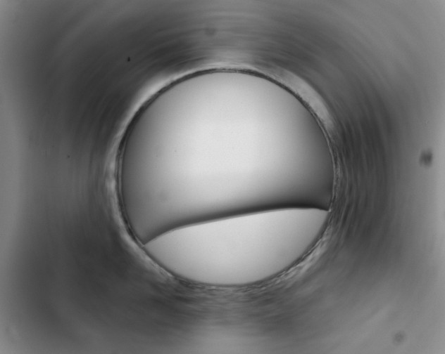 X0000102820958200808181022