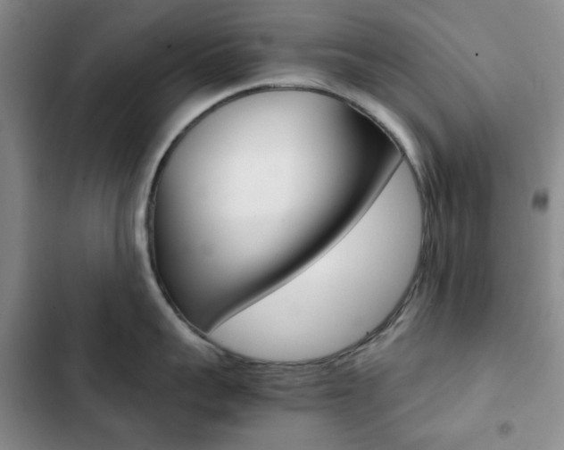 X0000102820959200808181022