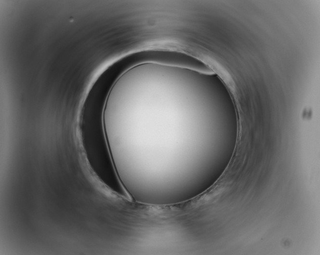 X0000102820960200808181022