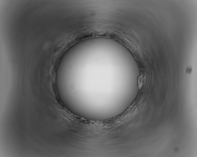 X0000102820961200808181021