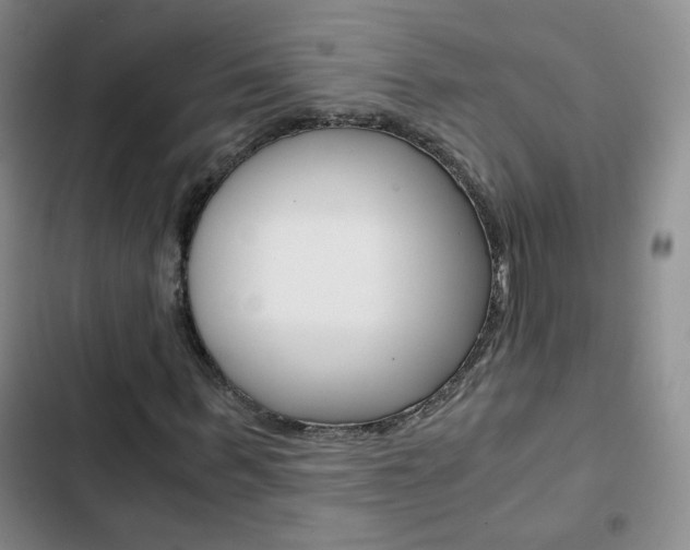 X0000102820963200808181021