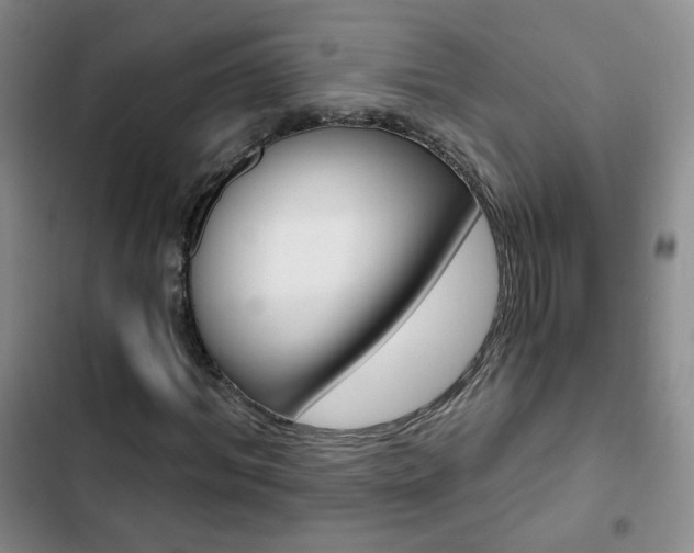 X0000102820964200808181021