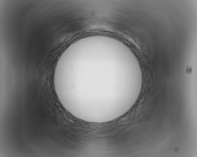 X0000102820965200808181021