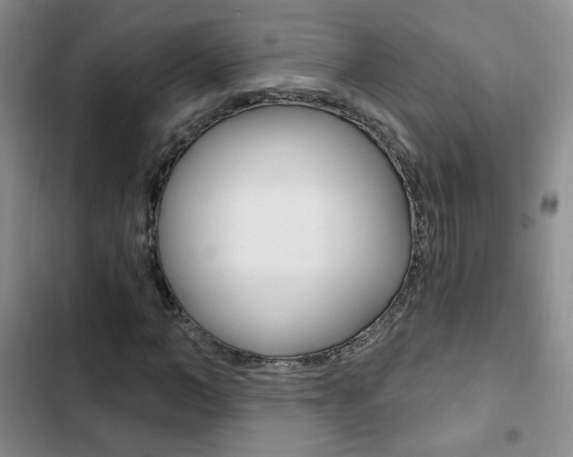 X0000102820966200808181021