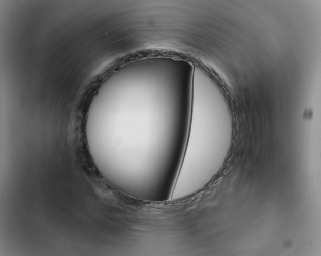 X0000102820968200808181021