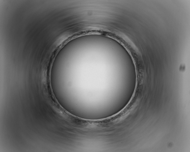 X0000102820969200808181021