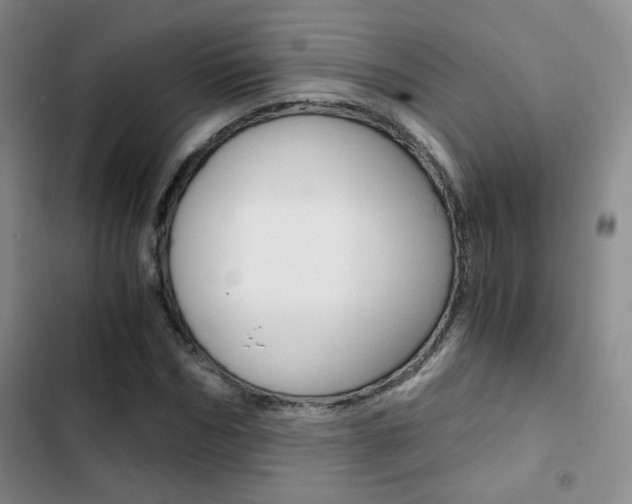X0000102820970200808181021