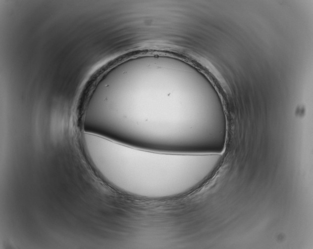 X0000102820971200808181021