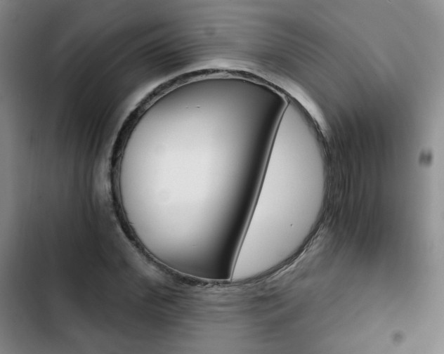 X0000102820972200808181021