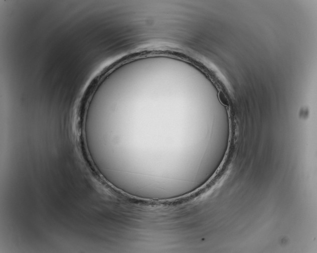 X0000102820973200808181021