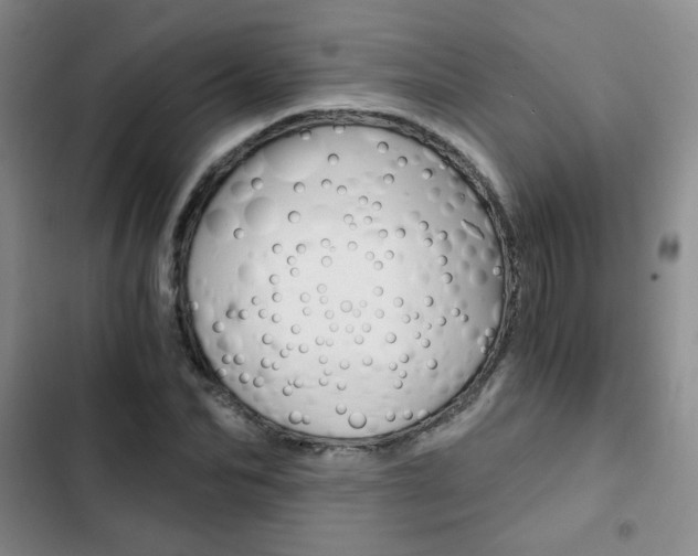 X0000102820974200808181021