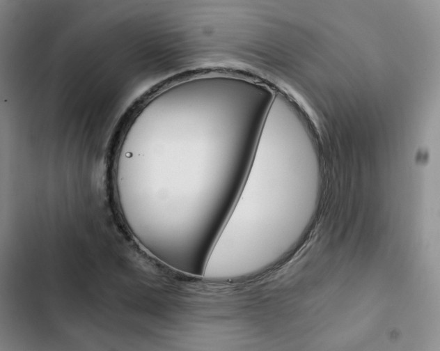 X0000102820975200808181021
