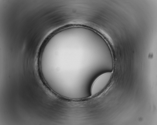 X0000102820976200808181021